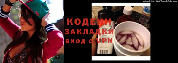 ПСИЛОЦИБИНОВЫЕ ГРИБЫ Верея