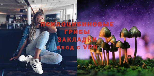 apvp Верхний Тагил