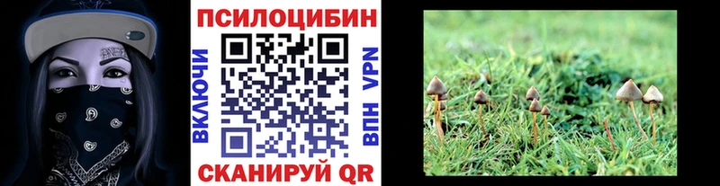 Псилоцибиновые грибы мухоморы Ворсма
