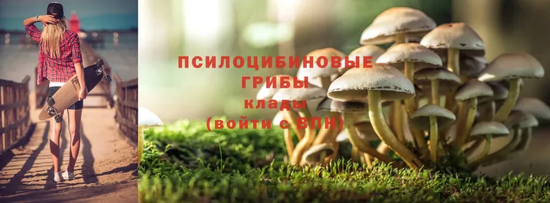 Галлюциногенные грибы Magic Shrooms  продажа наркотиков  Ворсма 